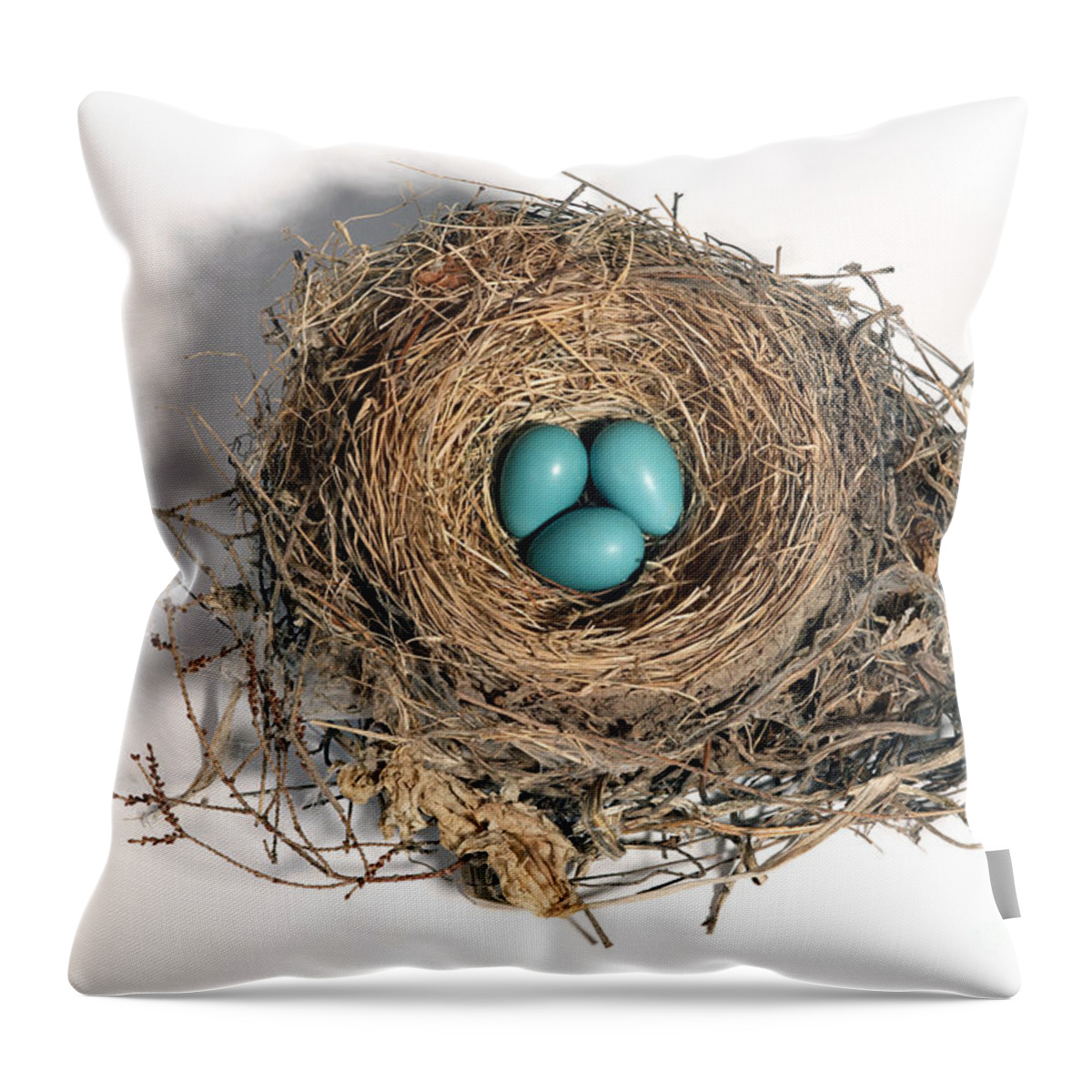 American Robin Throw Pillow featuring the photograph Robins Nest With Eggs #2 by Ted Kinsman