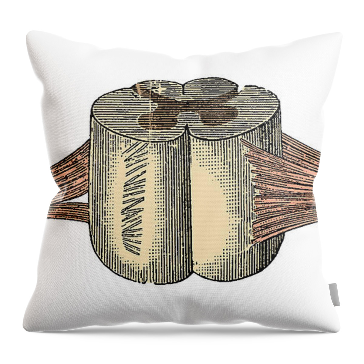 Spinal Cord Throw Pillow featuring the photograph Spinal Cord #2 by Science Source