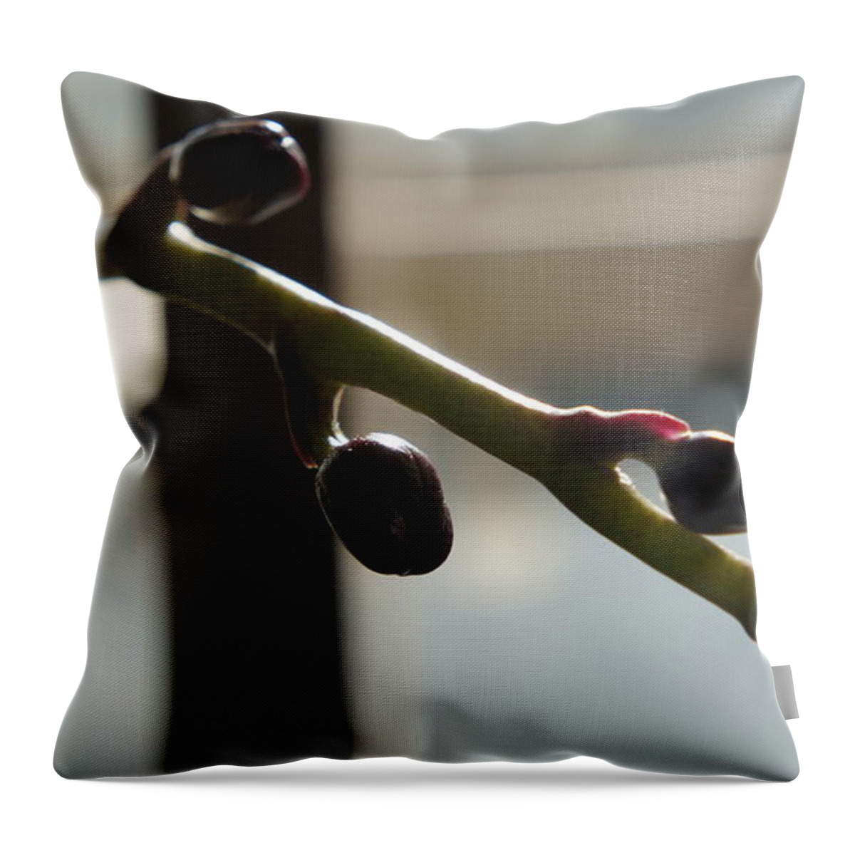 Art Throw Pillow featuring the photograph My room up close 1 #23 by Myron Belfast