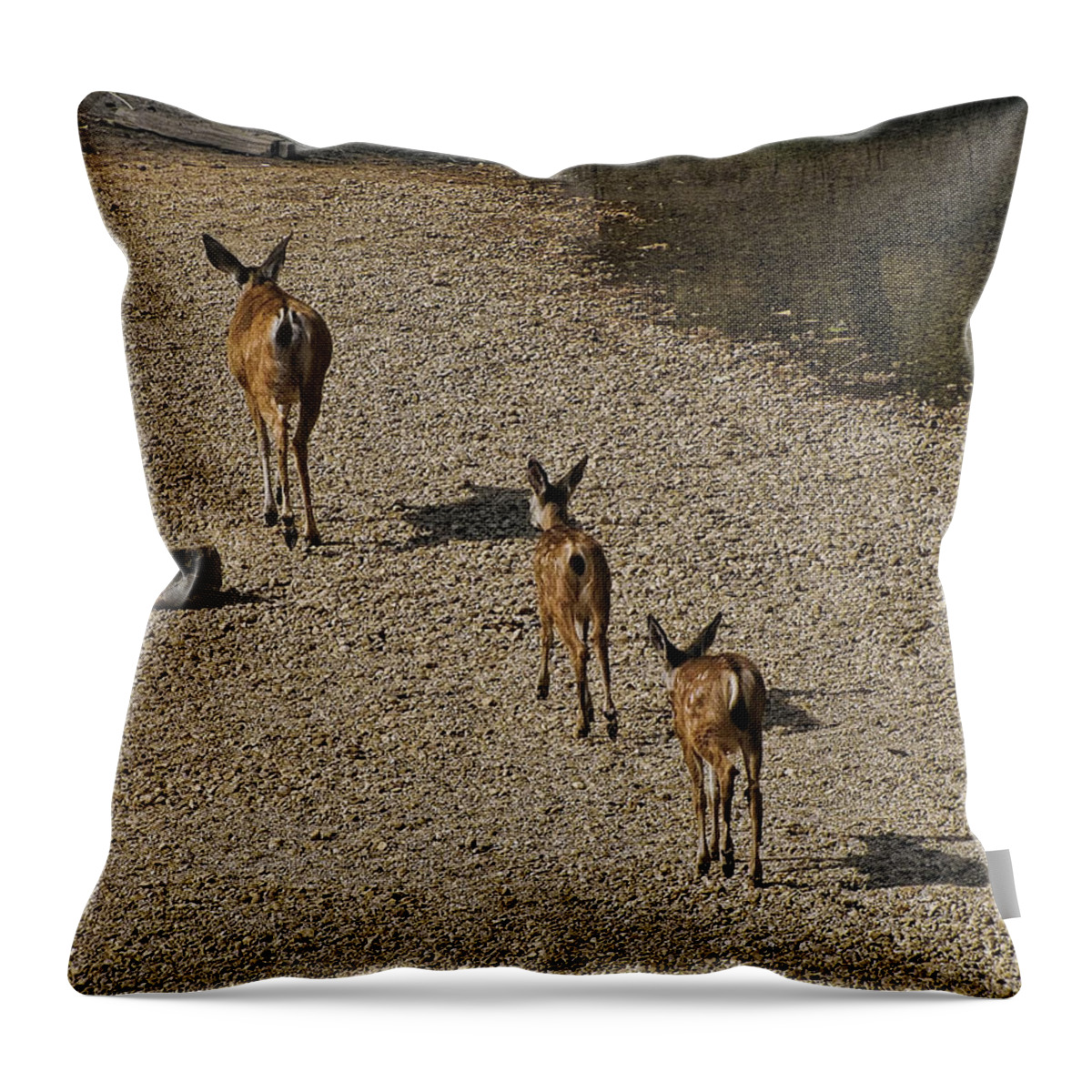 Yosemite Throw Pillow featuring the photograph Yosemite National Park #11 by Helaine Cummins