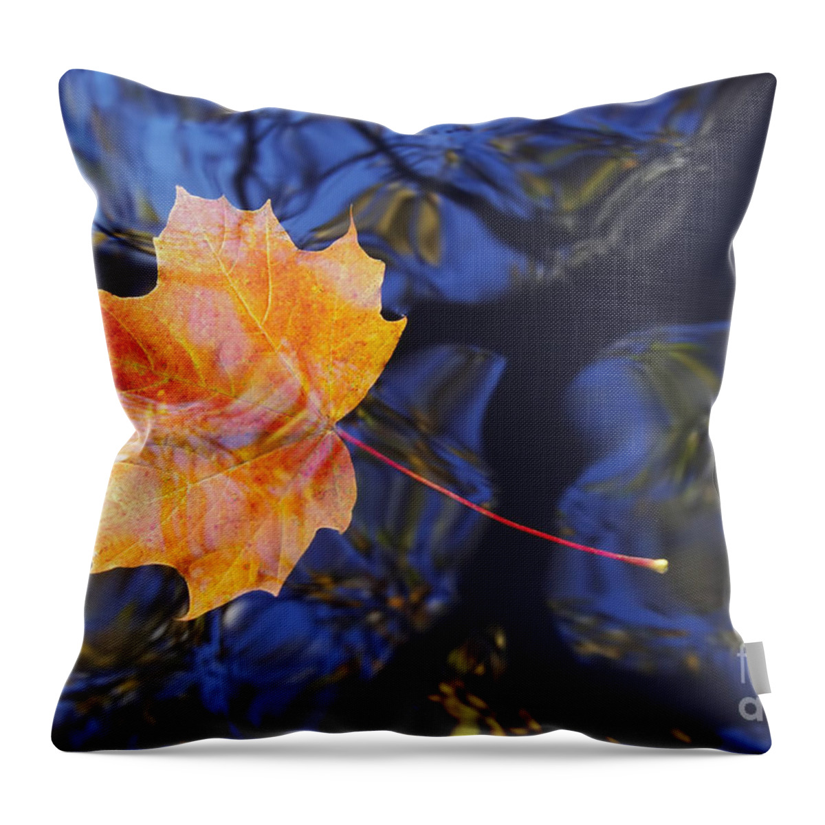 Leaf Throw Pillow featuring the photograph Autumn Leaf On The Water #3 by Michal Boubin