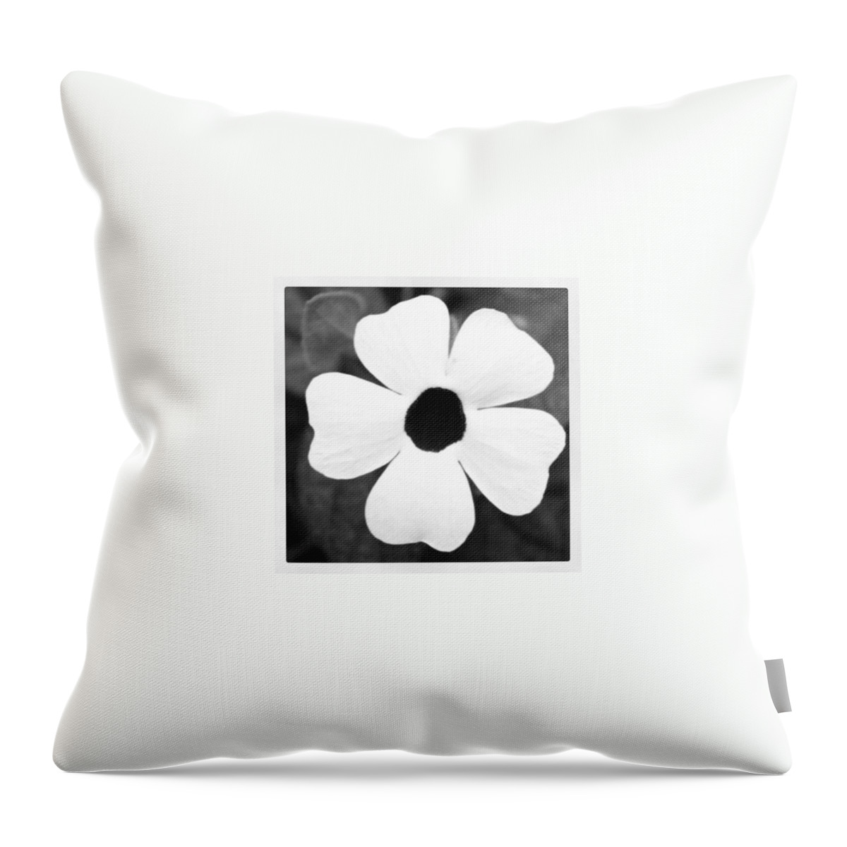 Macro Throw Pillow featuring the photograph Stark Contrast by Justin Connor