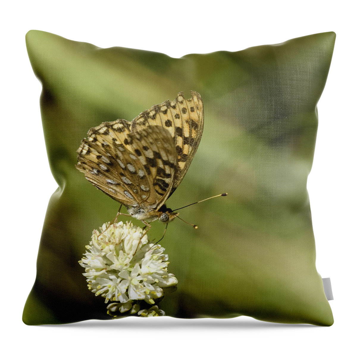 Orange Throw Pillow featuring the photograph Butterfly #3 by Betty Depee