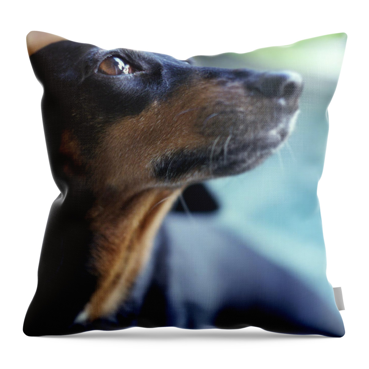 Dog Throw Pillow featuring the photograph Faithful Eyes #3 by Ang El