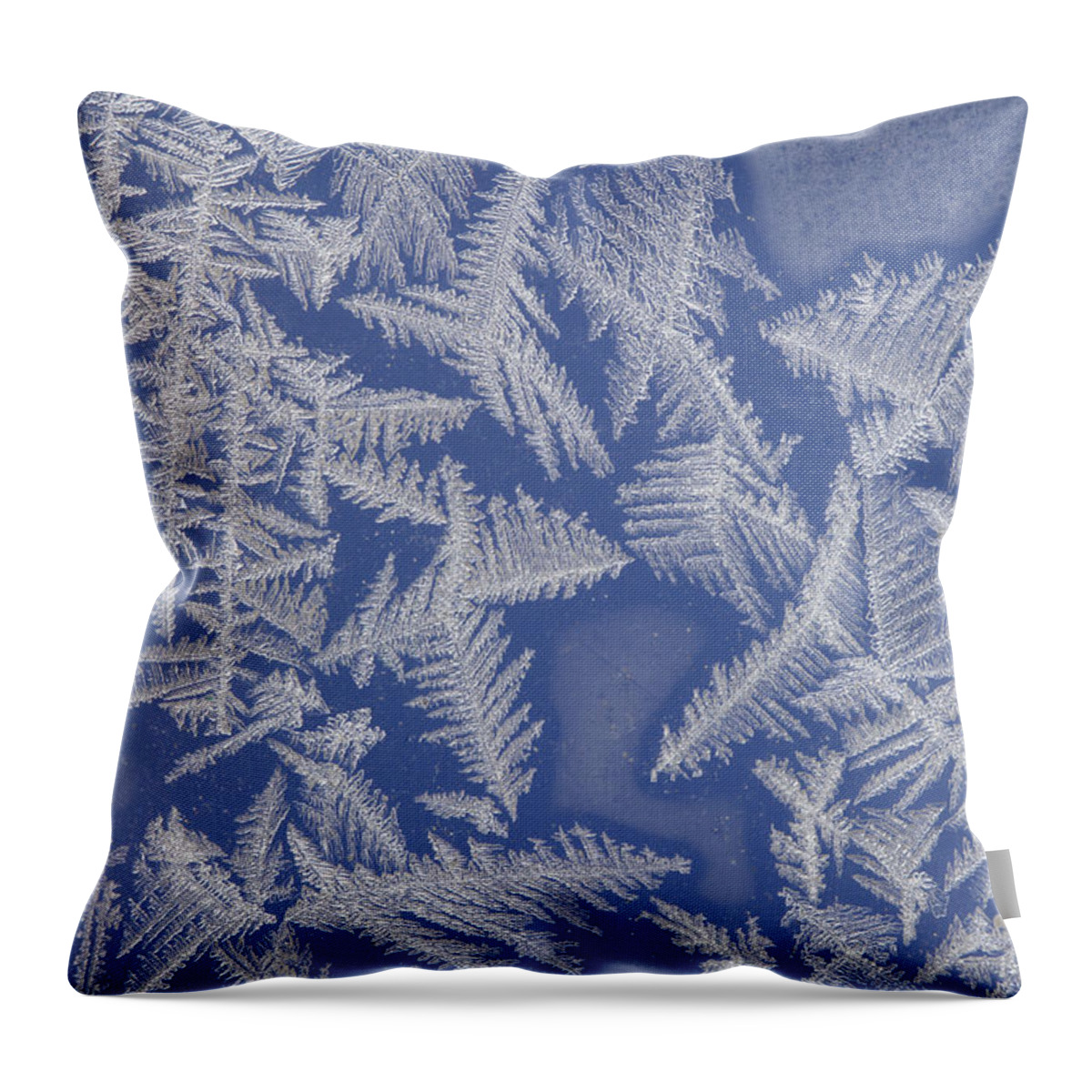 Frost Throw Pillow featuring the photograph Frost On A Window #3 by Ted Kinsman