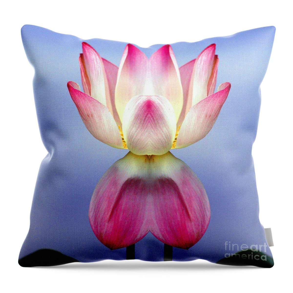 Lotus Throw Pillow featuring the photograph Lotus #3 by Mark Gilman