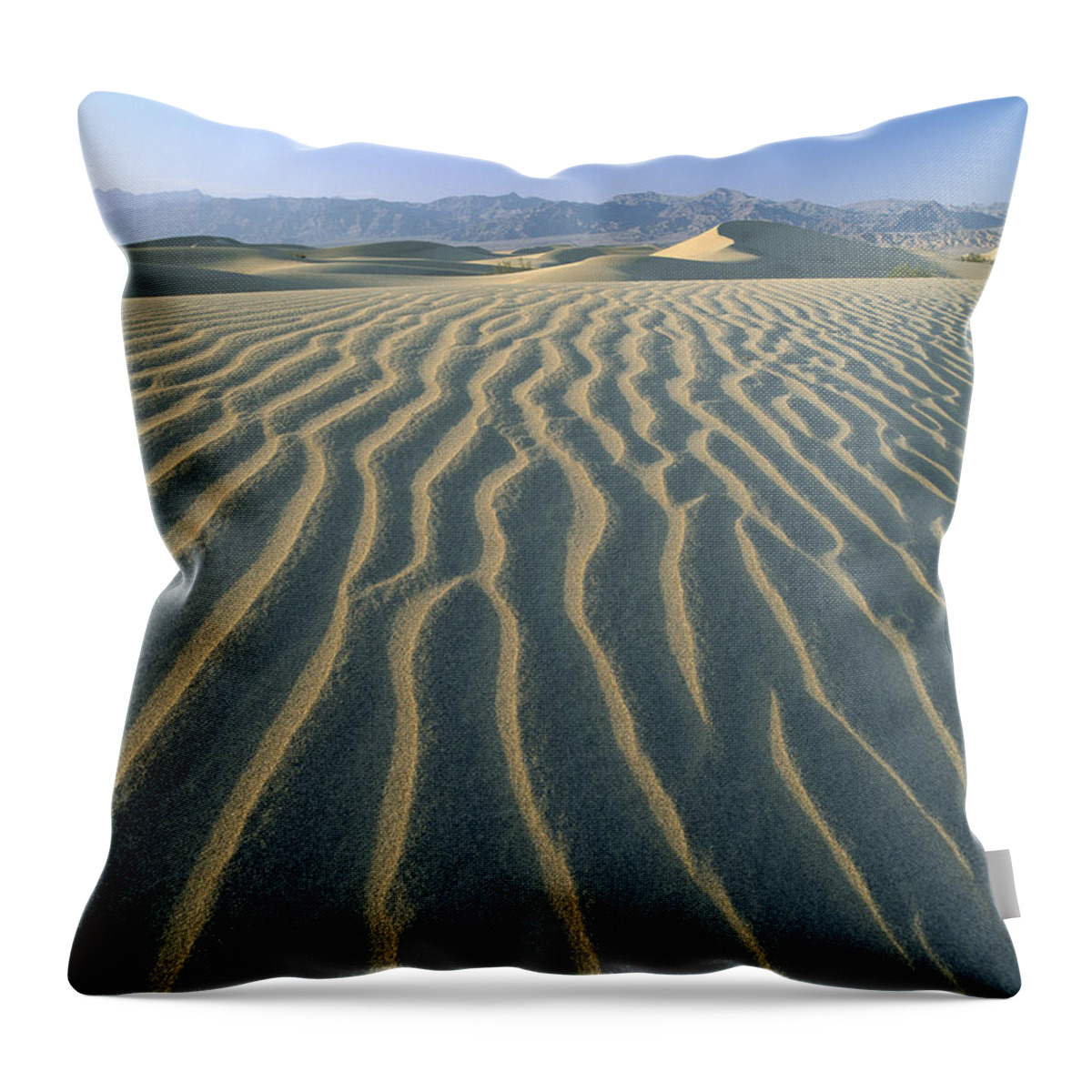 00174938 Throw Pillow featuring the photograph Mesquite Flat Sand Dunes Death Valley #3 by Tim Fitzharris