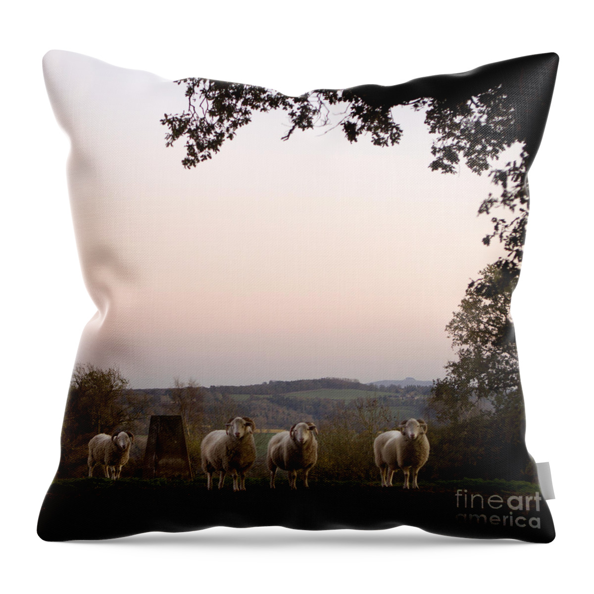 Sheep Throw Pillow featuring the photograph On The Hill #3 by Ang El