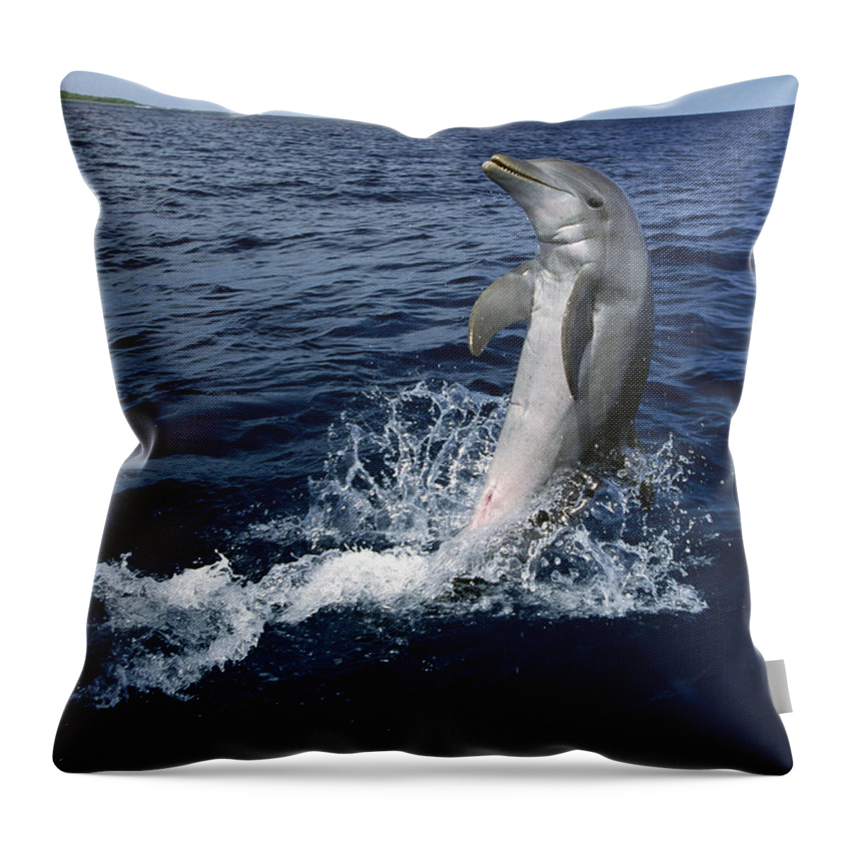 Mp Throw Pillow featuring the photograph Bottlenose Dolphin Tursiops Truncatus #4 by Konrad Wothe