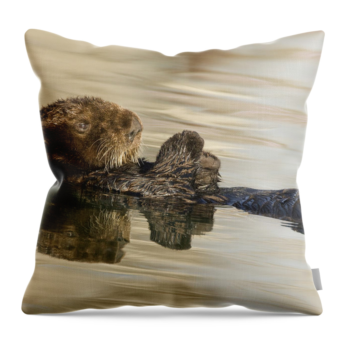 00429660 Throw Pillow featuring the photograph Sea Otter Elkhorn Slough Monterey Bay #4 by Sebastian Kennerknecht
