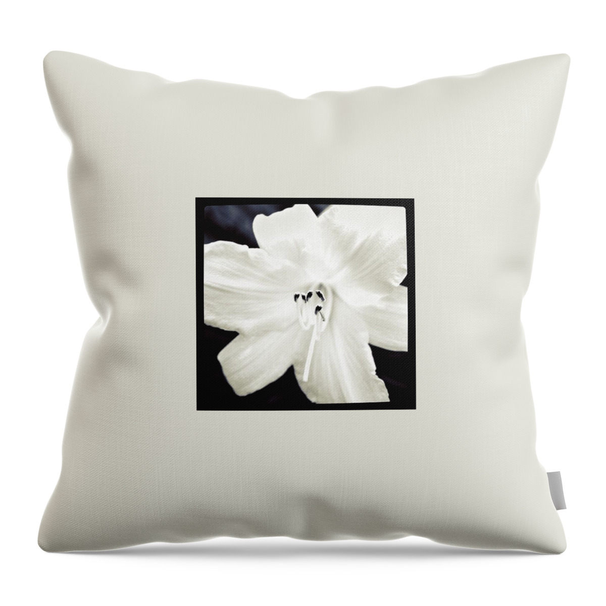 Flower Throw Pillow featuring the photograph BW Rhododendron by Justin Connor