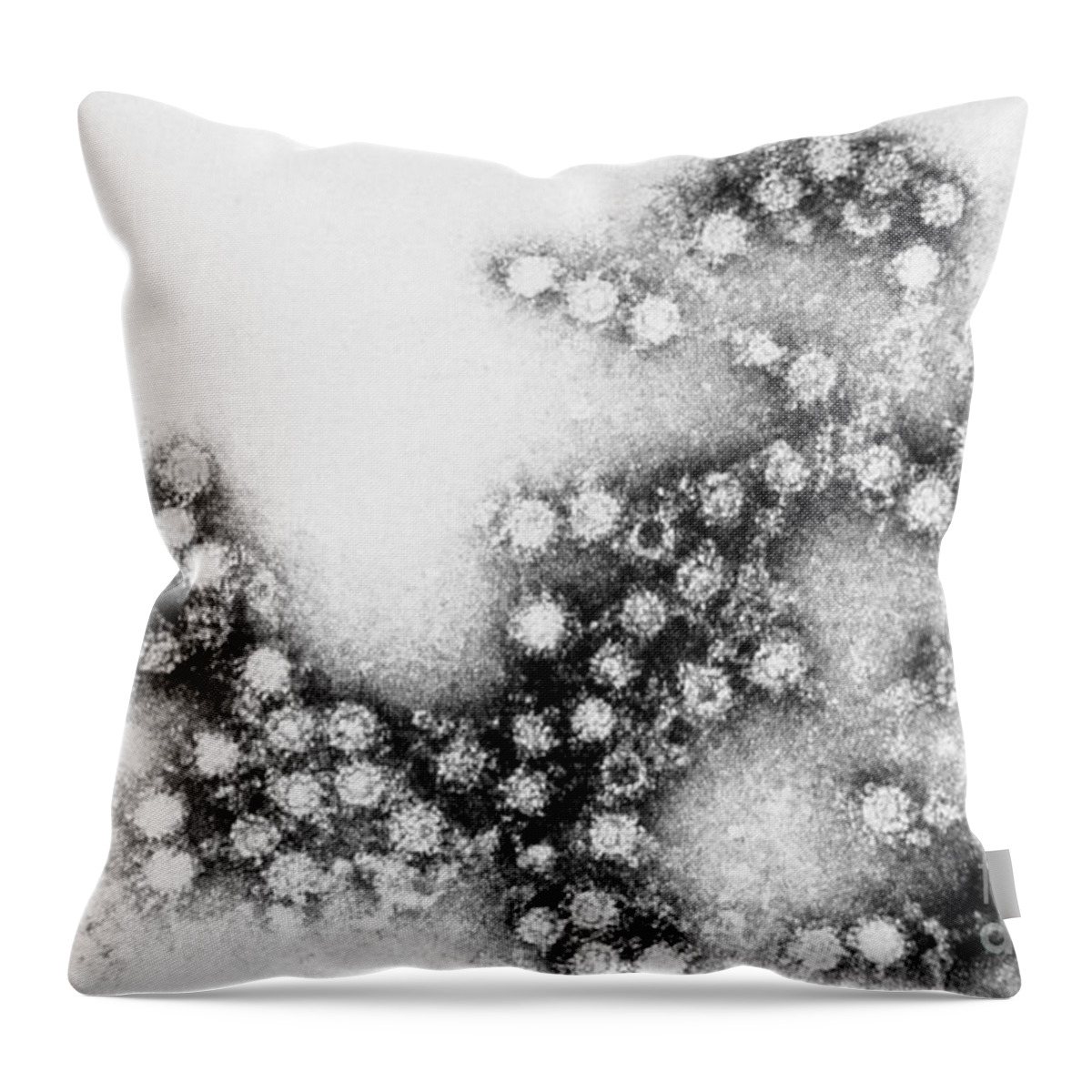 Transmission Electron Micrograph Throw Pillow featuring the Coxsackie B4 Virus, Tem #5 by Science Source