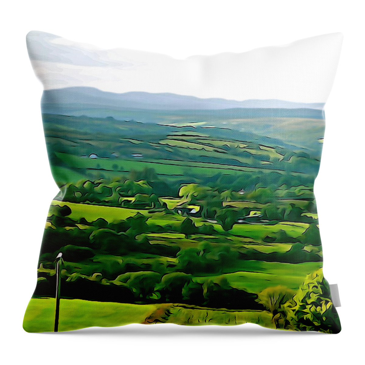 Green Throw Pillow featuring the photograph 50 Shades of Green by Norma Brock