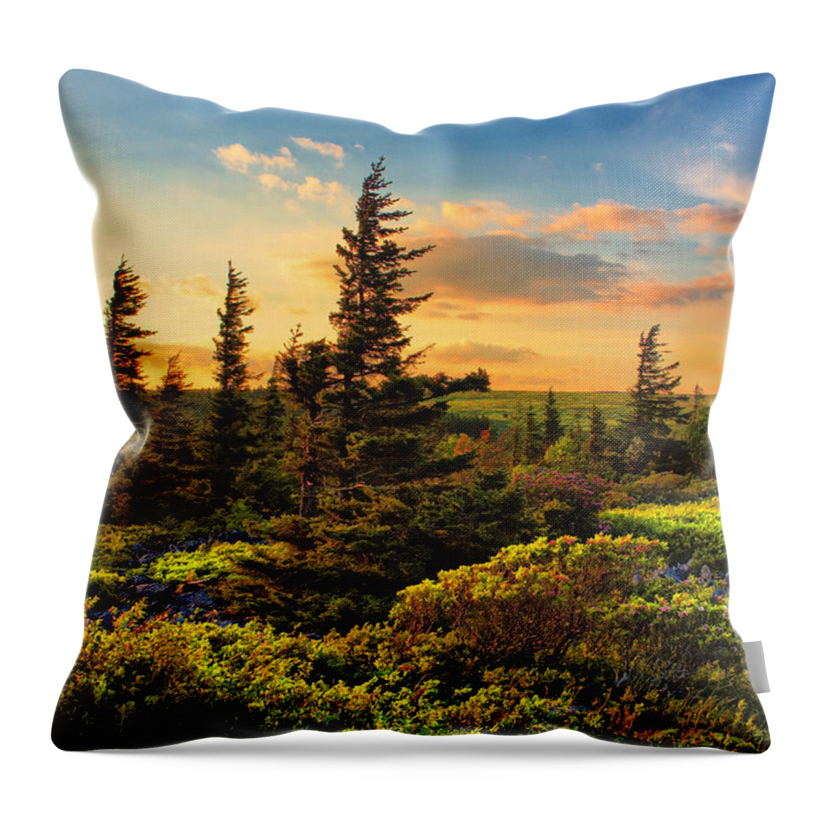 Dolly Sods Throw Pillow featuring the photograph Dolly Sods Wilderness #8 by Mary Almond