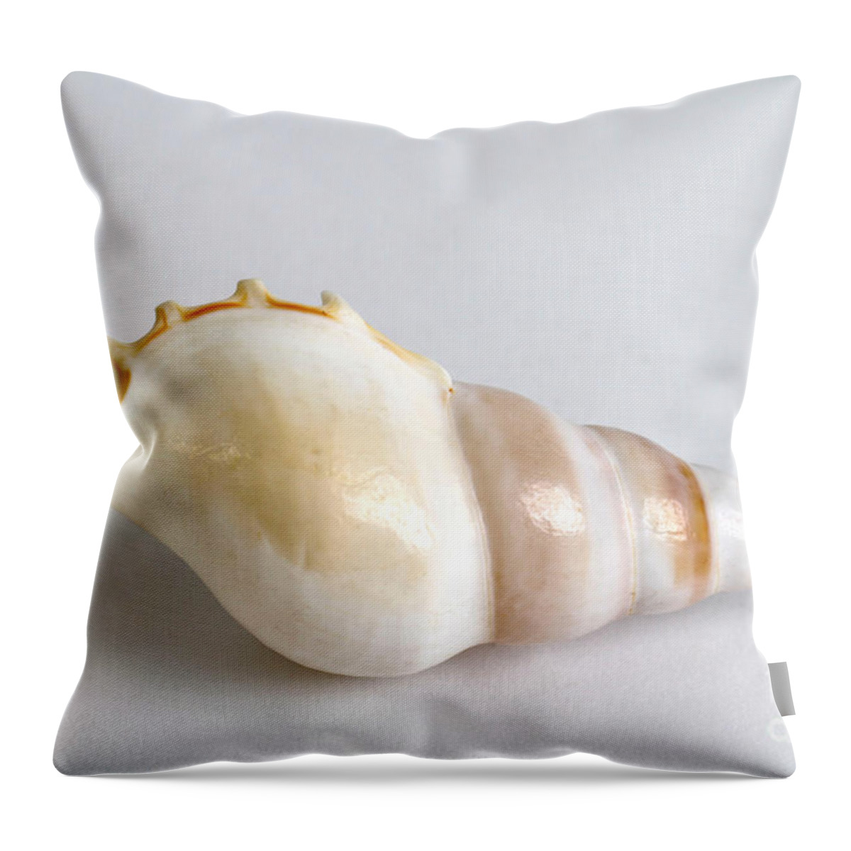 Nature Throw Pillow featuring the photograph Seashell #8 by Photo Researchers