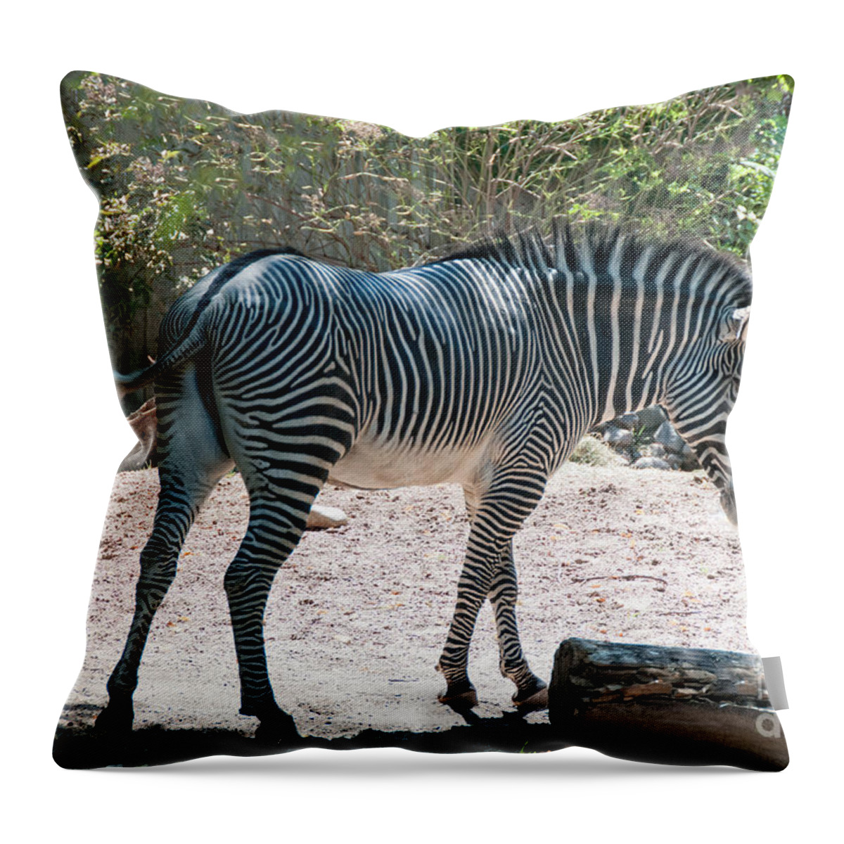 Animals Throw Pillow featuring the digital art Lincoln Park Zoo in Chicago #9 by Carol Ailles