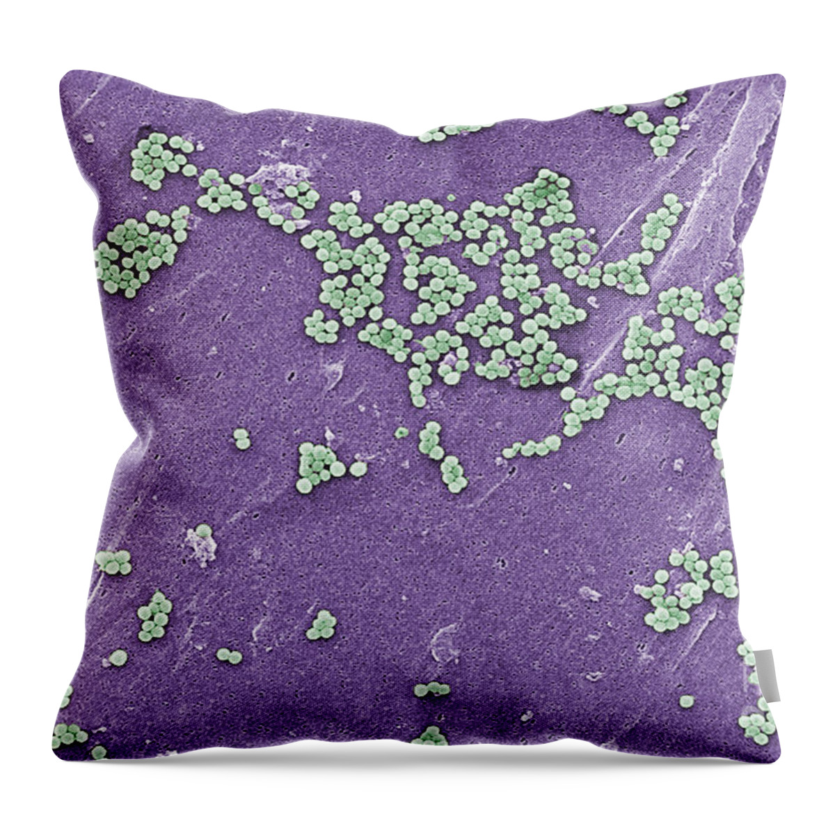 Virulent Throw Pillow featuring the photograph Methicillin-resistant Staphylococcus #9 by Science Source
