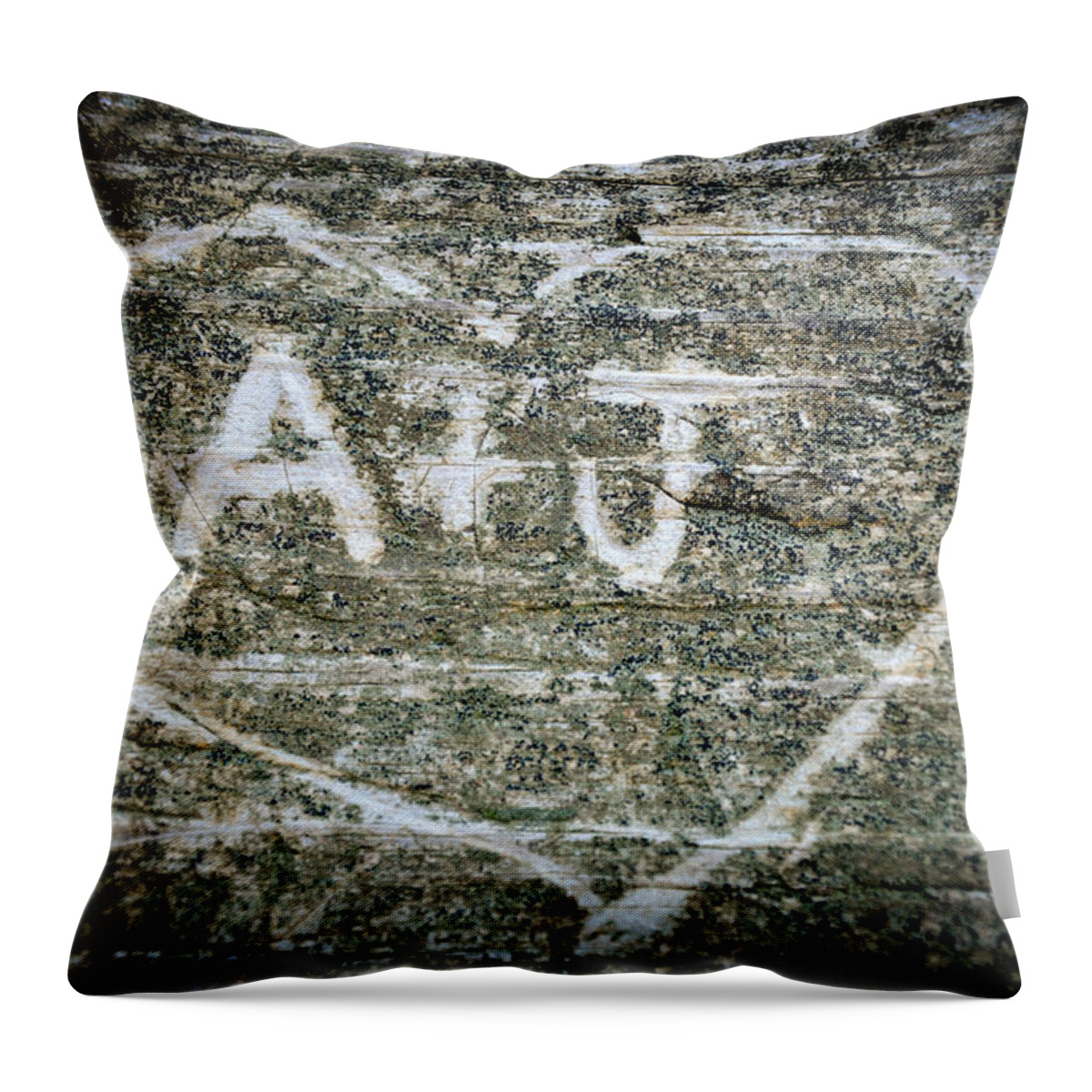 Wood Throw Pillow featuring the photograph A and J by Julia Wilcox