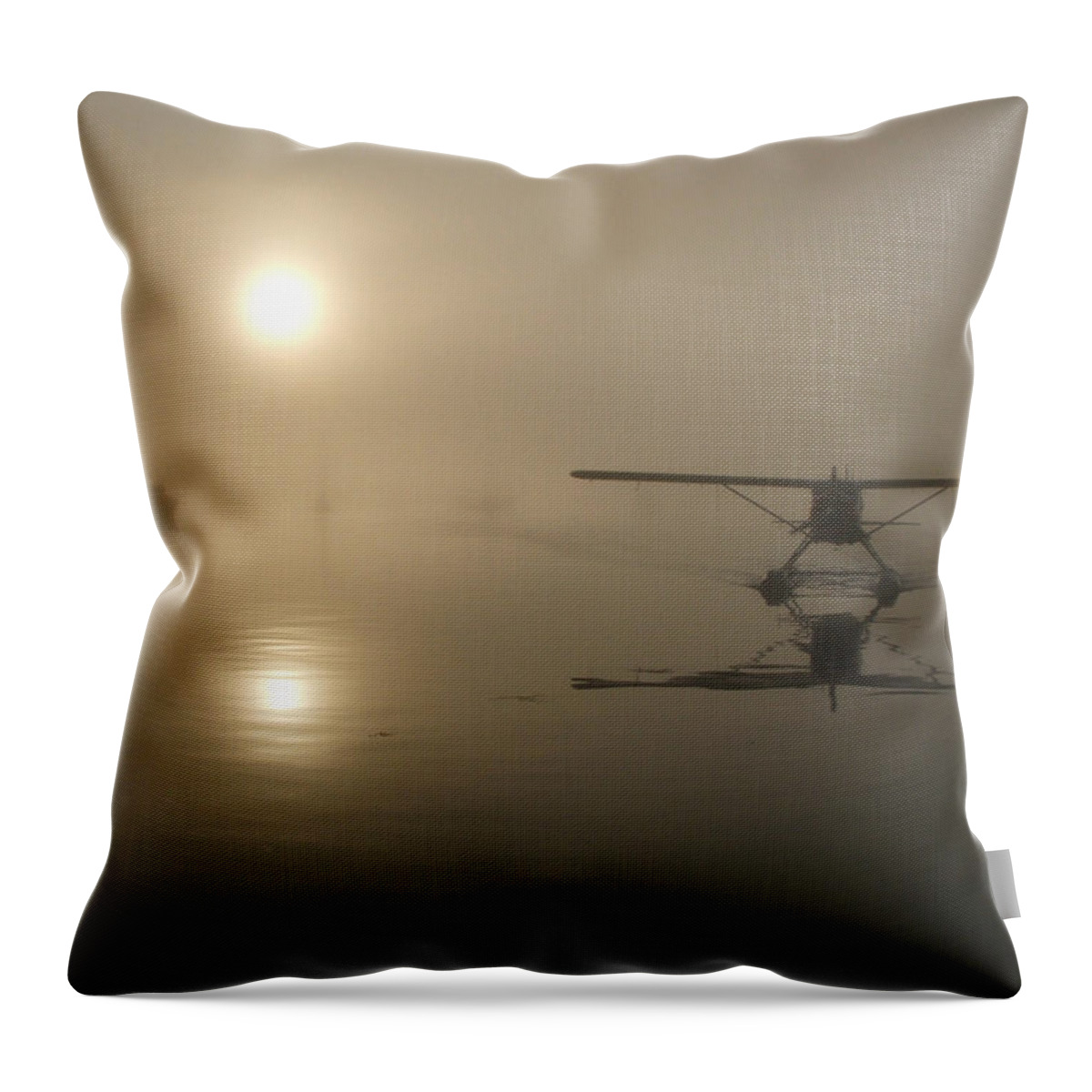 Aviation Throw Pillow featuring the photograph A Bad Day for Flying by Mark Alan Perry