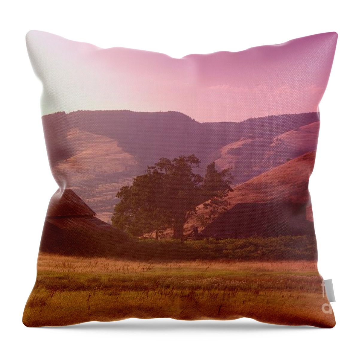 Scenic Throw Pillow featuring the photograph A barn near Rowena Oregon  by Jeff Swan