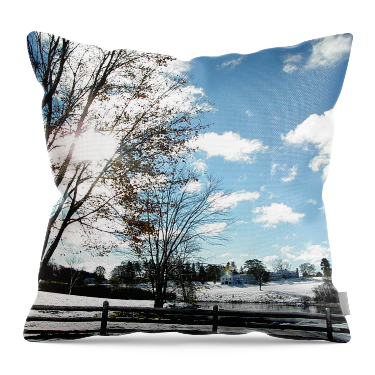 Snow Throw Pillow featuring the photograph A Colorful Snowy Landscape by Kim Galluzzo