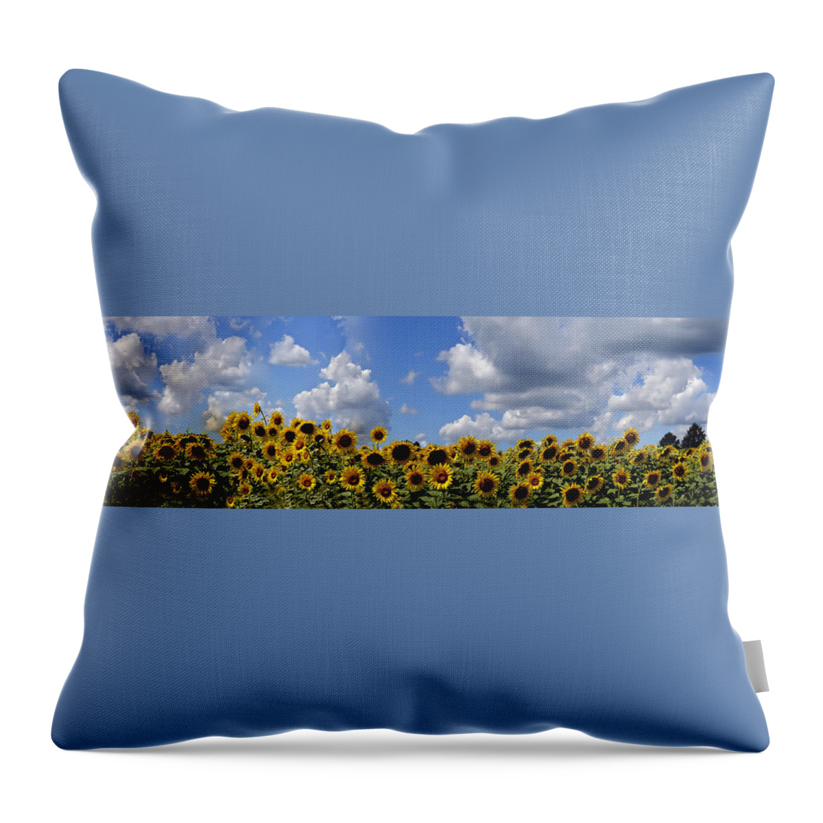Sunfolwer Throw Pillow featuring the photograph A Field of Gold by Richard Ortolano
