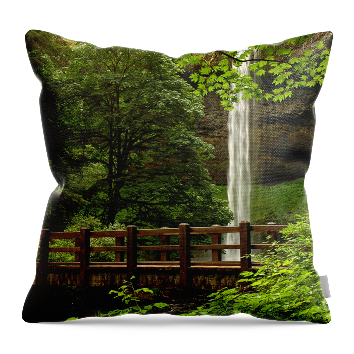 South Falls Throw Pillow featuring the photograph A Hidden Gem by Vivian Christopher