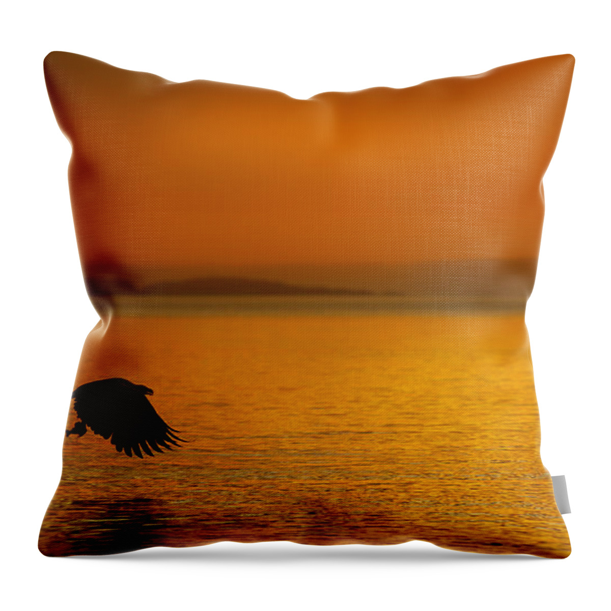 Sunset Throw Pillow featuring the photograph A Late Supper by Andy Astbury
