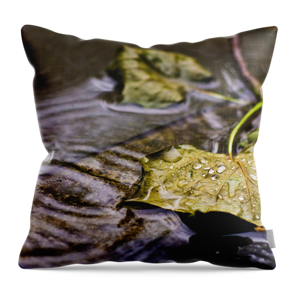 Drops Throw Pillow featuring the photograph A Leaf in the Rain by Lori Coleman