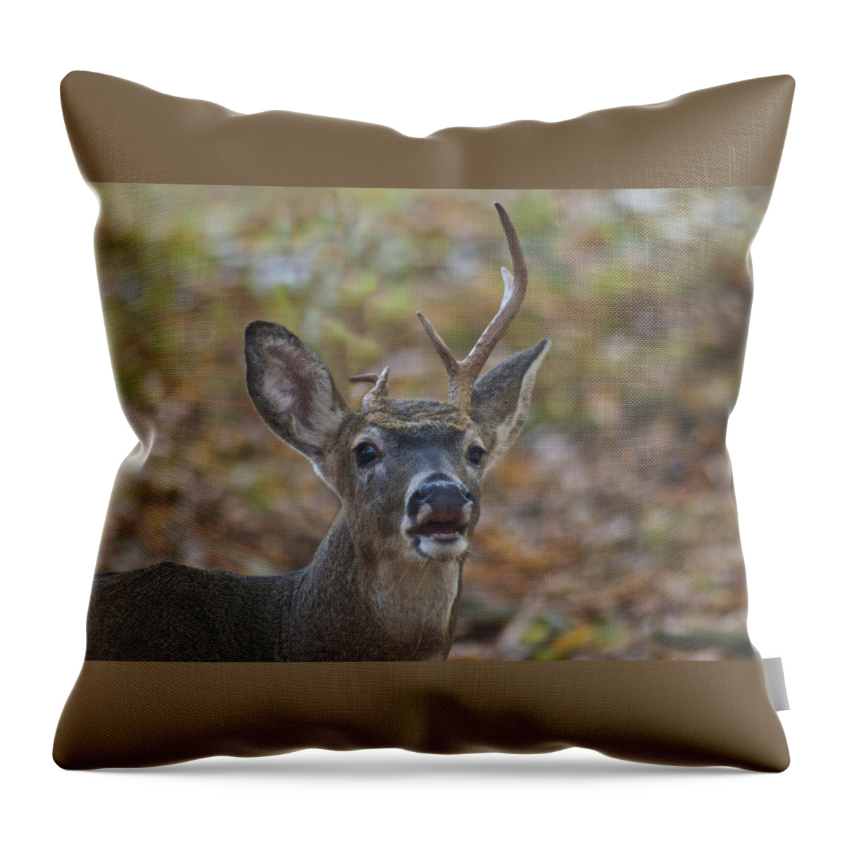 Whitetail Throw Pillow featuring the photograph A Little Unbalanced by Michael Peychich