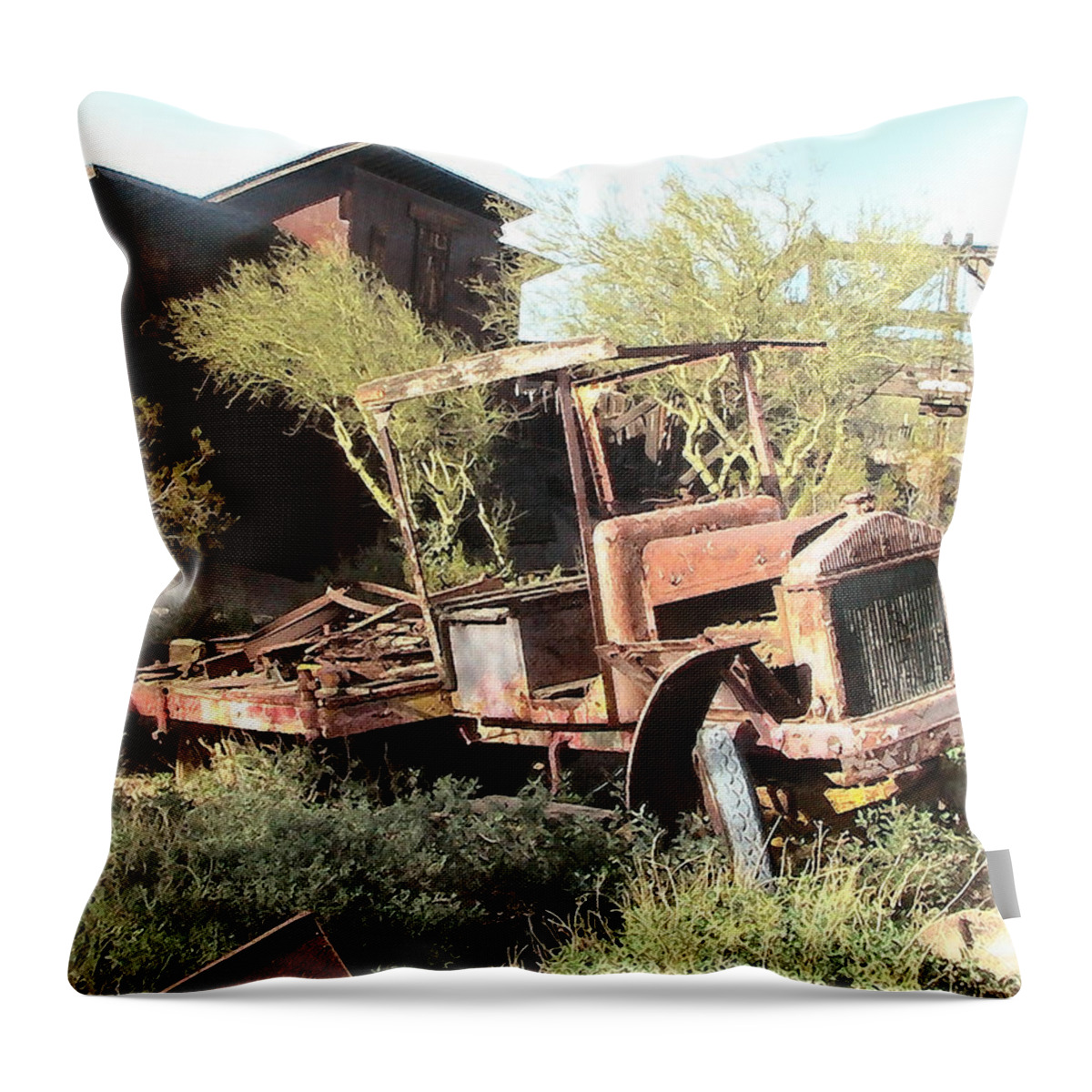 Cristopher Ernest Throw Pillow featuring the photograph A Place to Rest by Cristophers Dream Artistry
