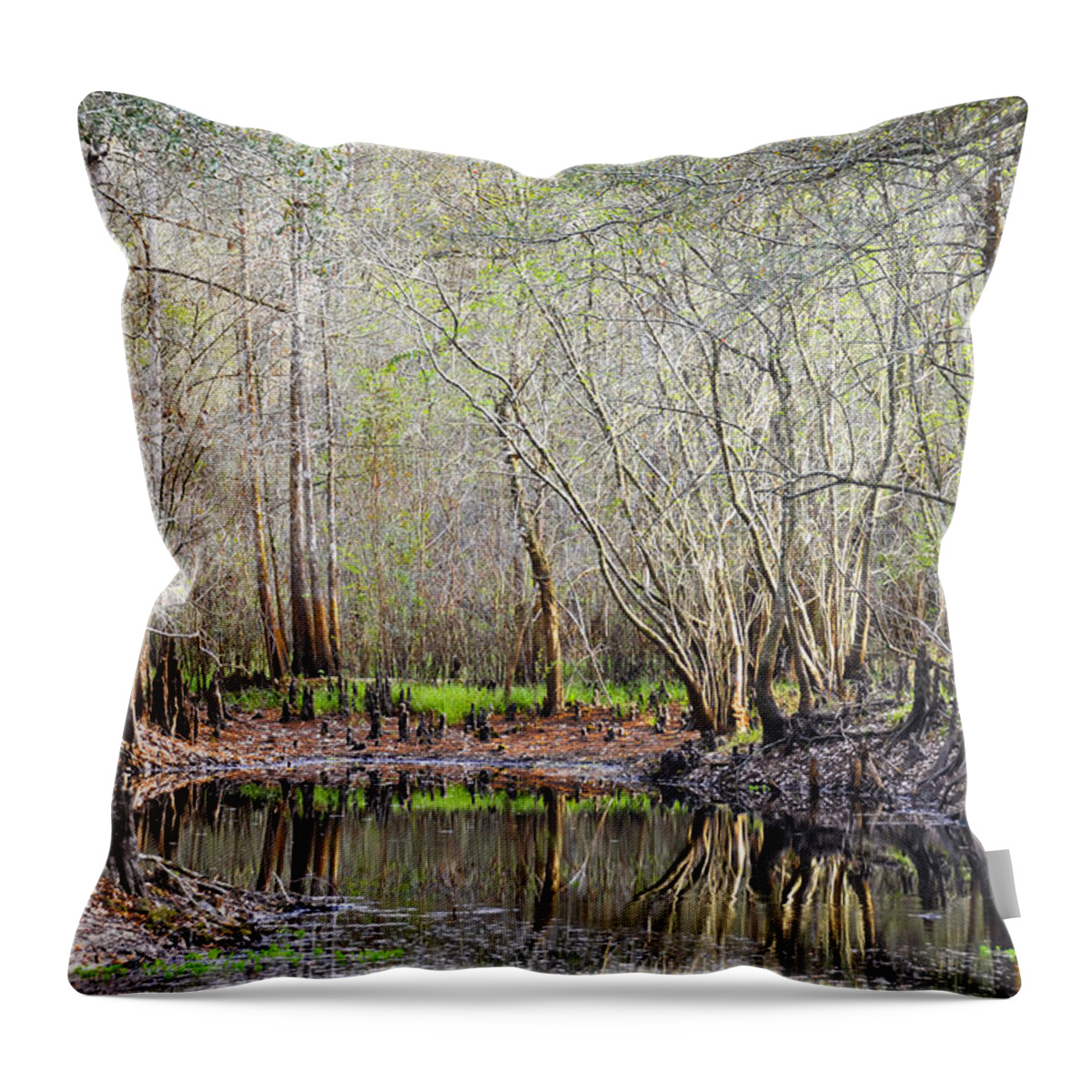 Cypress Trees Throw Pillow featuring the photograph A Quiet Back Woods Place by Carolyn Marshall