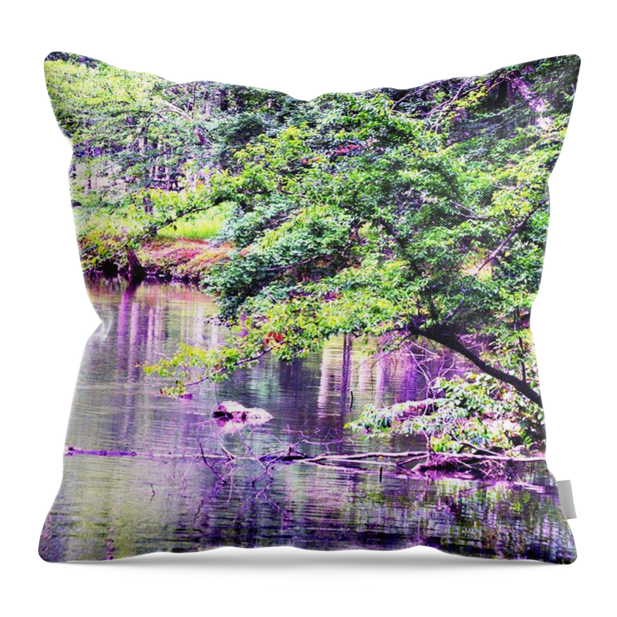Summer Throw Pillow featuring the photograph A Summer's Afternoon by Maria Urso