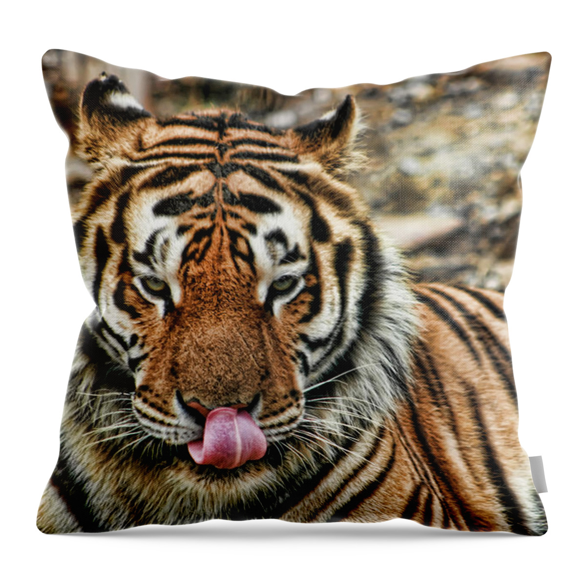 Tiger Throw Pillow featuring the photograph A Tiger And His Tongue by Scott Wood