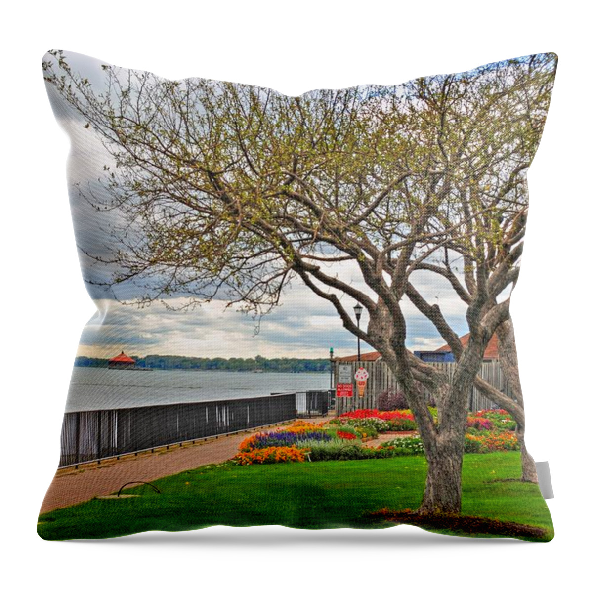  Throw Pillow featuring the photograph A View From the Garden by Michael Frank Jr