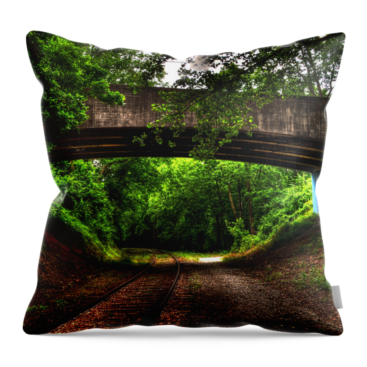 Murphy North Carolina Throw Pillow featuring the photograph A Walk Along The Tracks by Greg and Chrystal Mimbs