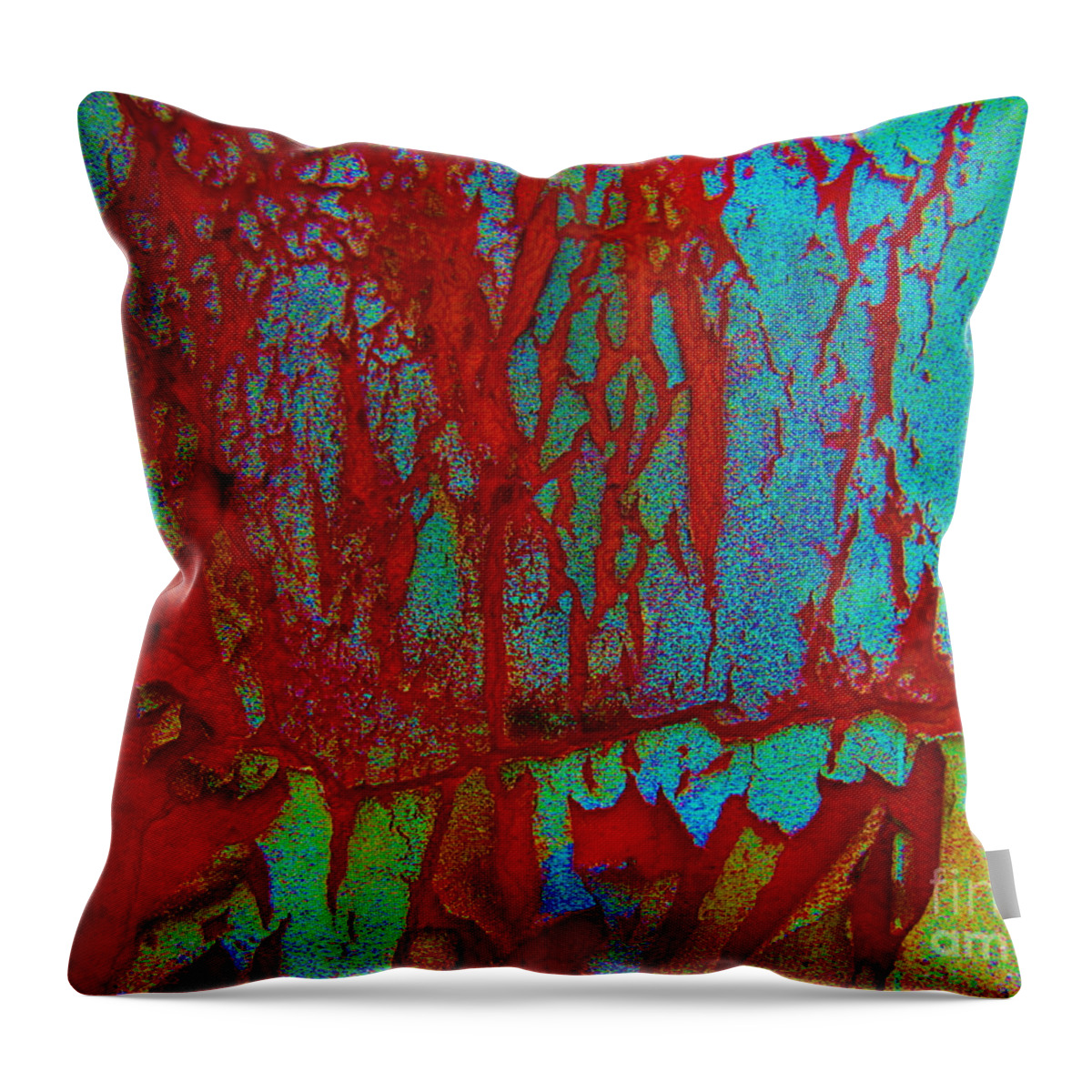 Crackle Throw Pillow featuring the photograph Abby Crack by Amy Sorrell