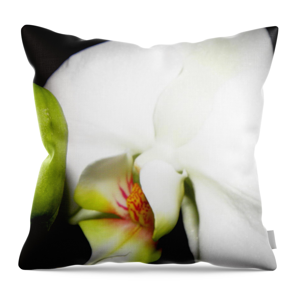 White Throw Pillow featuring the photograph Absolute Beauty by Kim Galluzzo
