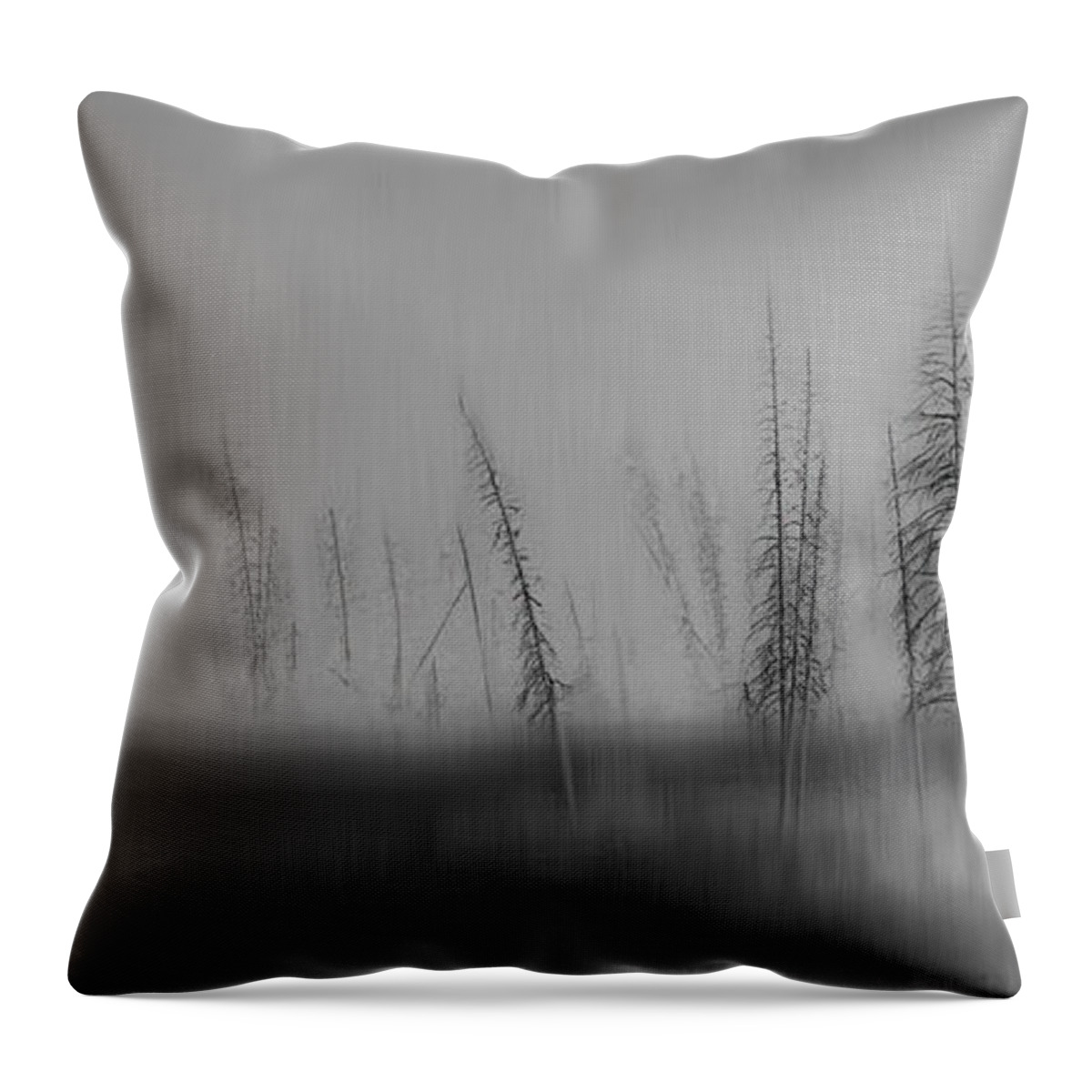 Trees Throw Pillow featuring the photograph Abstruse by Robin Webster
