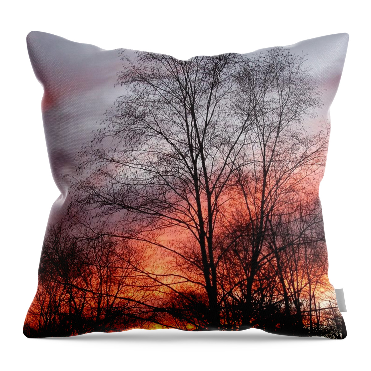 Sunset Throw Pillow featuring the photograph Adding Life To What Has Passed by Kim Galluzzo