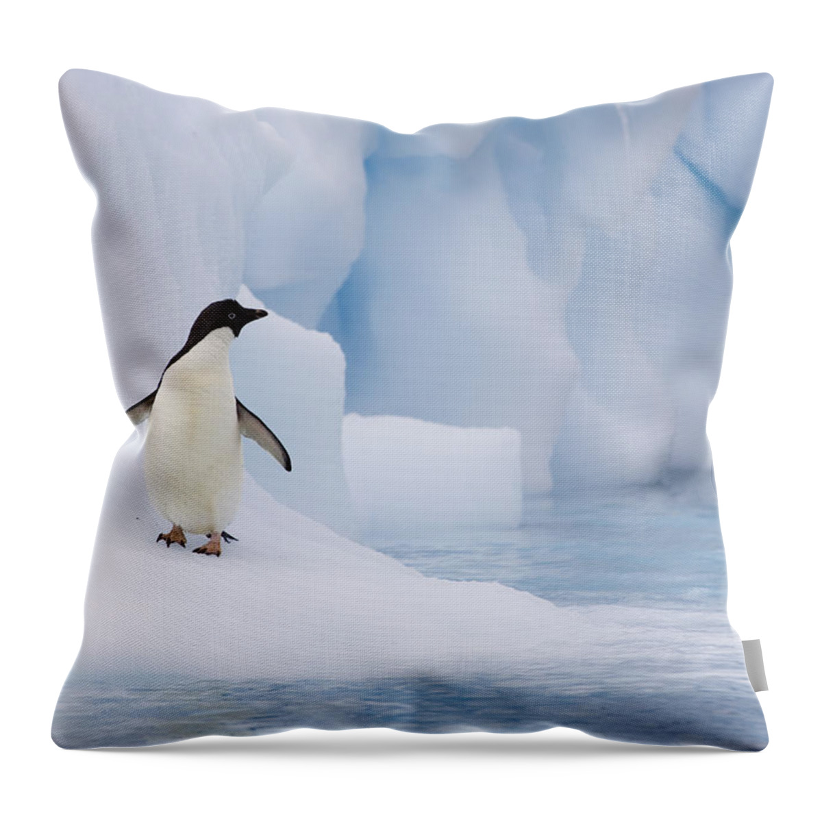 00761838 Throw Pillow featuring the photograph Adelie Penguin On Melting Iceberg by Suzi Eszterhas