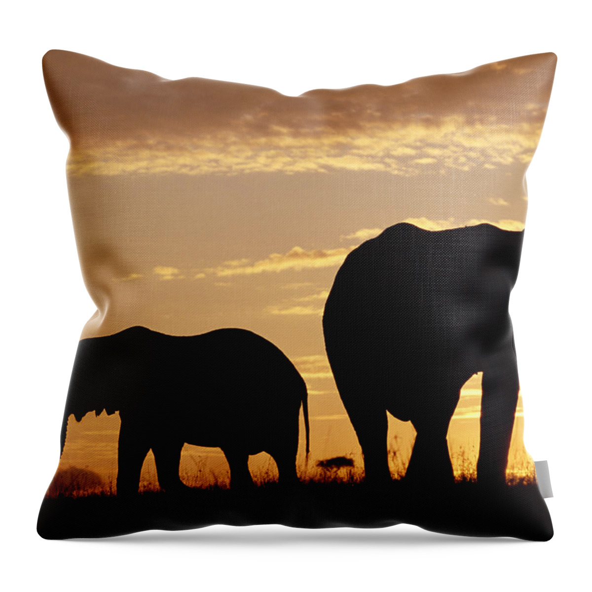 00172034 Throw Pillow featuring the photograph African Elephant Mother And Calf by Tim Fitzharris