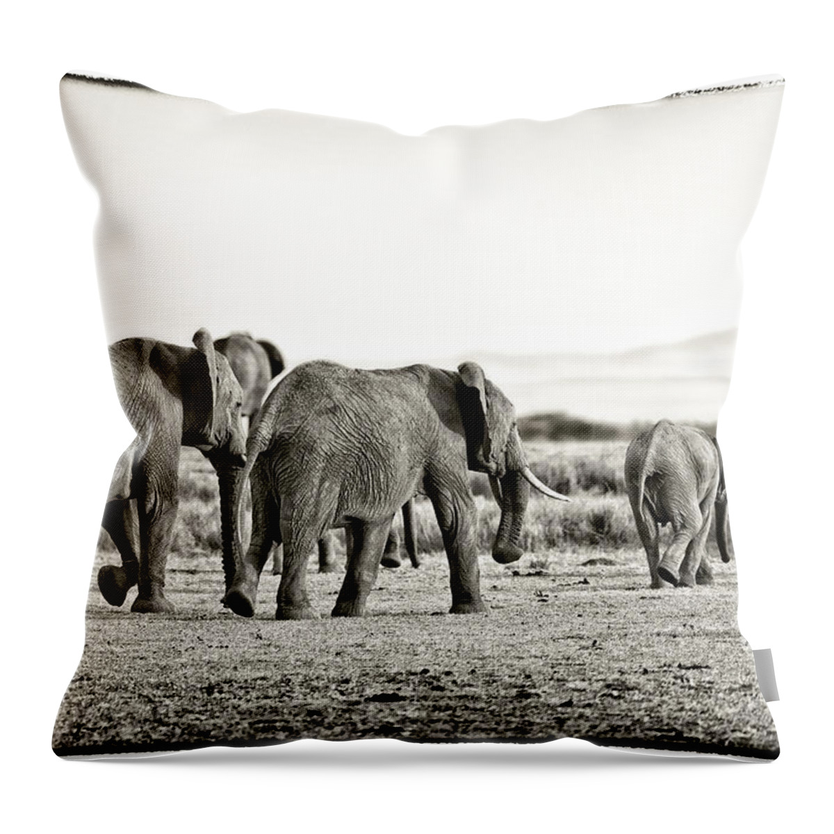 Africa Throw Pillow featuring the photograph African Elephants in the Masai Mara by Perla Copernik