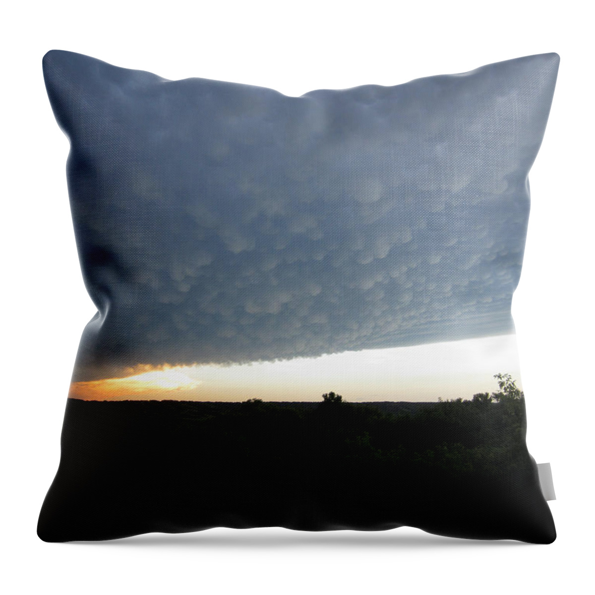 Tornado Throw Pillow featuring the photograph After the Tornado by Andrea Lawrence