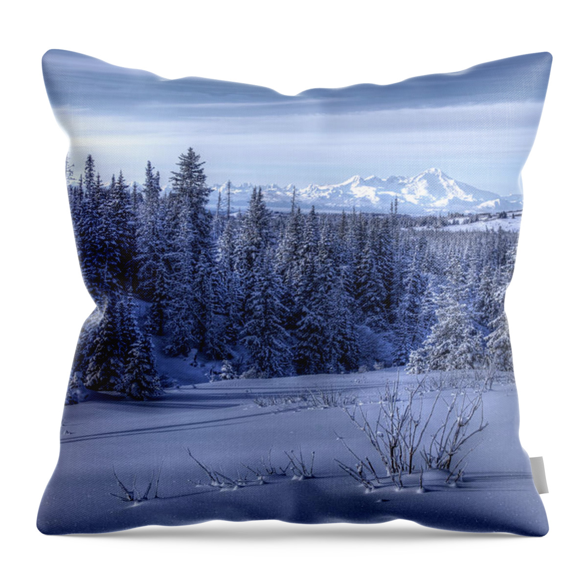 Alaska Throw Pillow featuring the photograph Alaskan Winter Landscape by Michele Cornelius