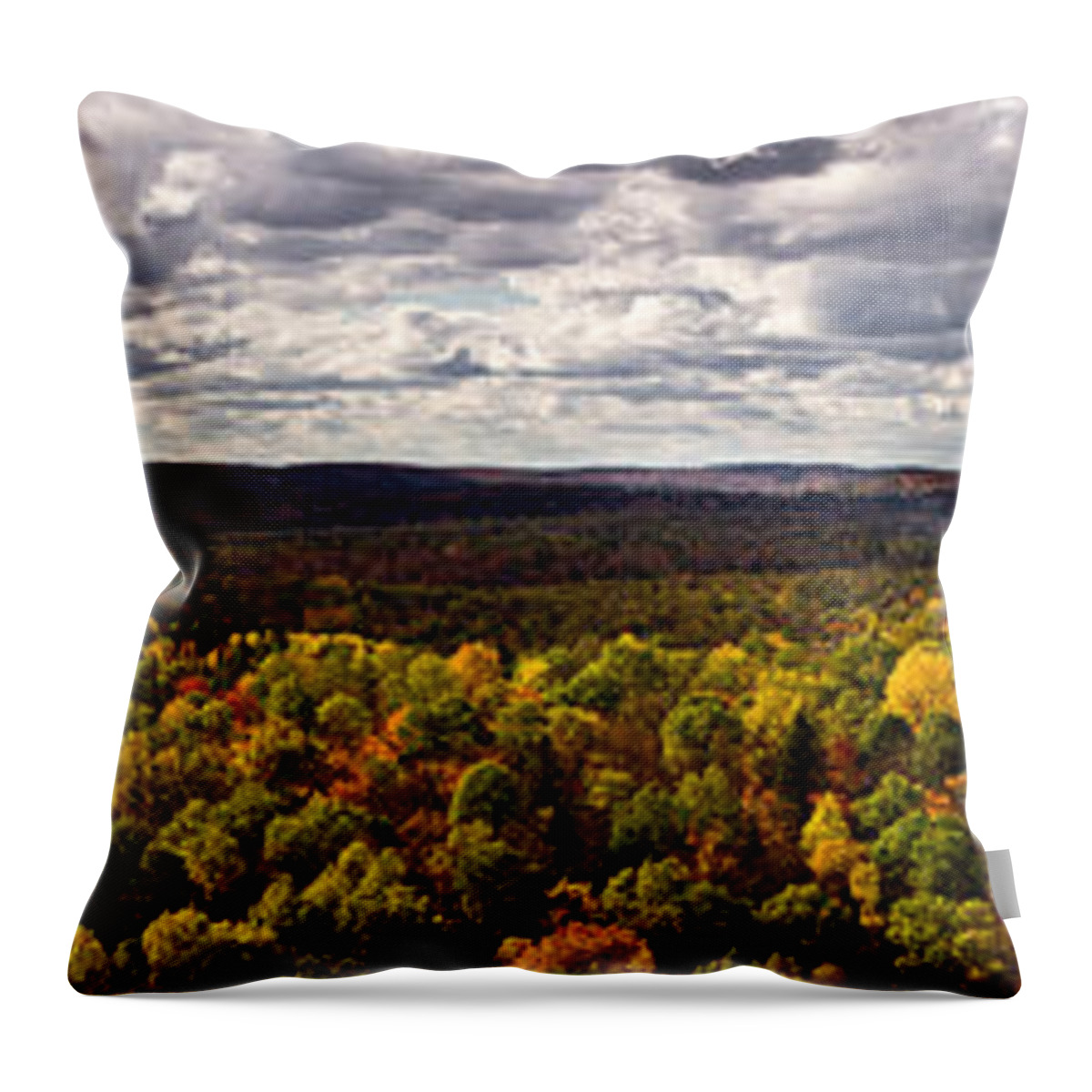 Algonquin Throw Pillow featuring the photograph Algonquin Park Panorama by Cale Best