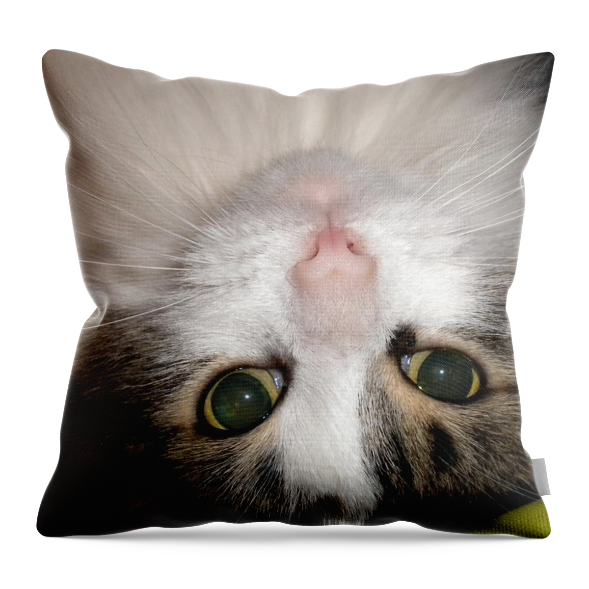 Cat Throw Pillow featuring the painting All You Need is Love by Renate Wesley