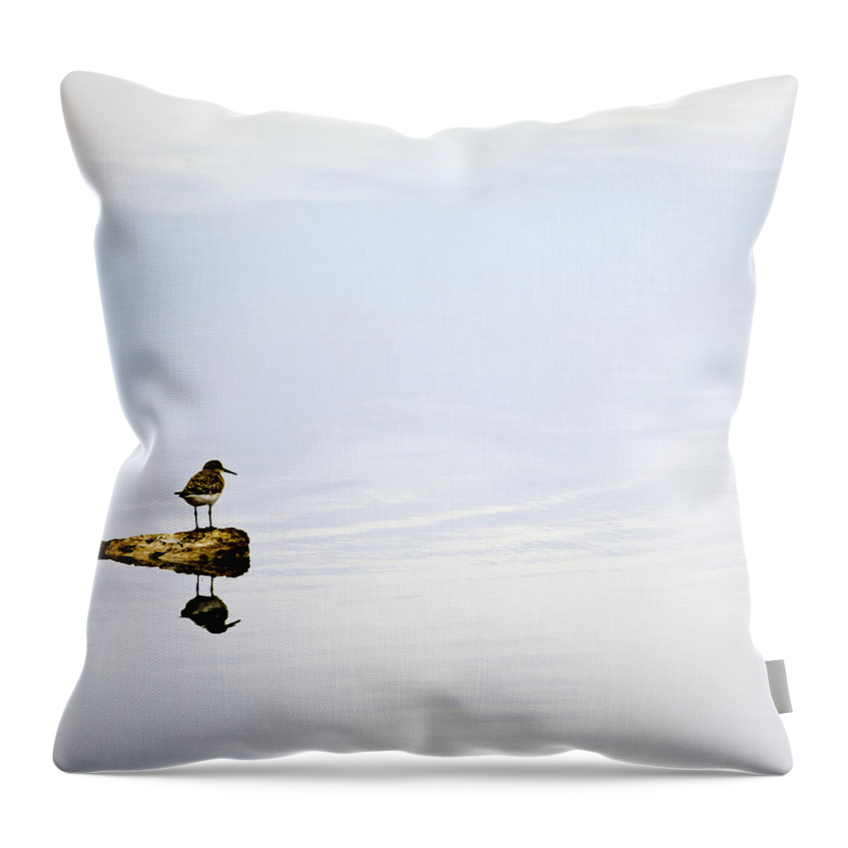Bird; Blue; Clouds; Country; Digital Art; Mel; Muleshoe; Muleshoe Nwf; National Wildlife Reserve; Nature; Photographs; Photography; Photos; Playa; Prints; Sandpiper; Scenes; Scenic; Sky; Texas; Weather Throw Pillow featuring the photograph Alone - Just The Two of Us by Melany Sarafis