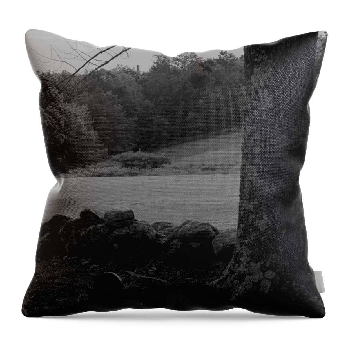 Graves Throw Pillow featuring the photograph Alone by Jeff Heimlich