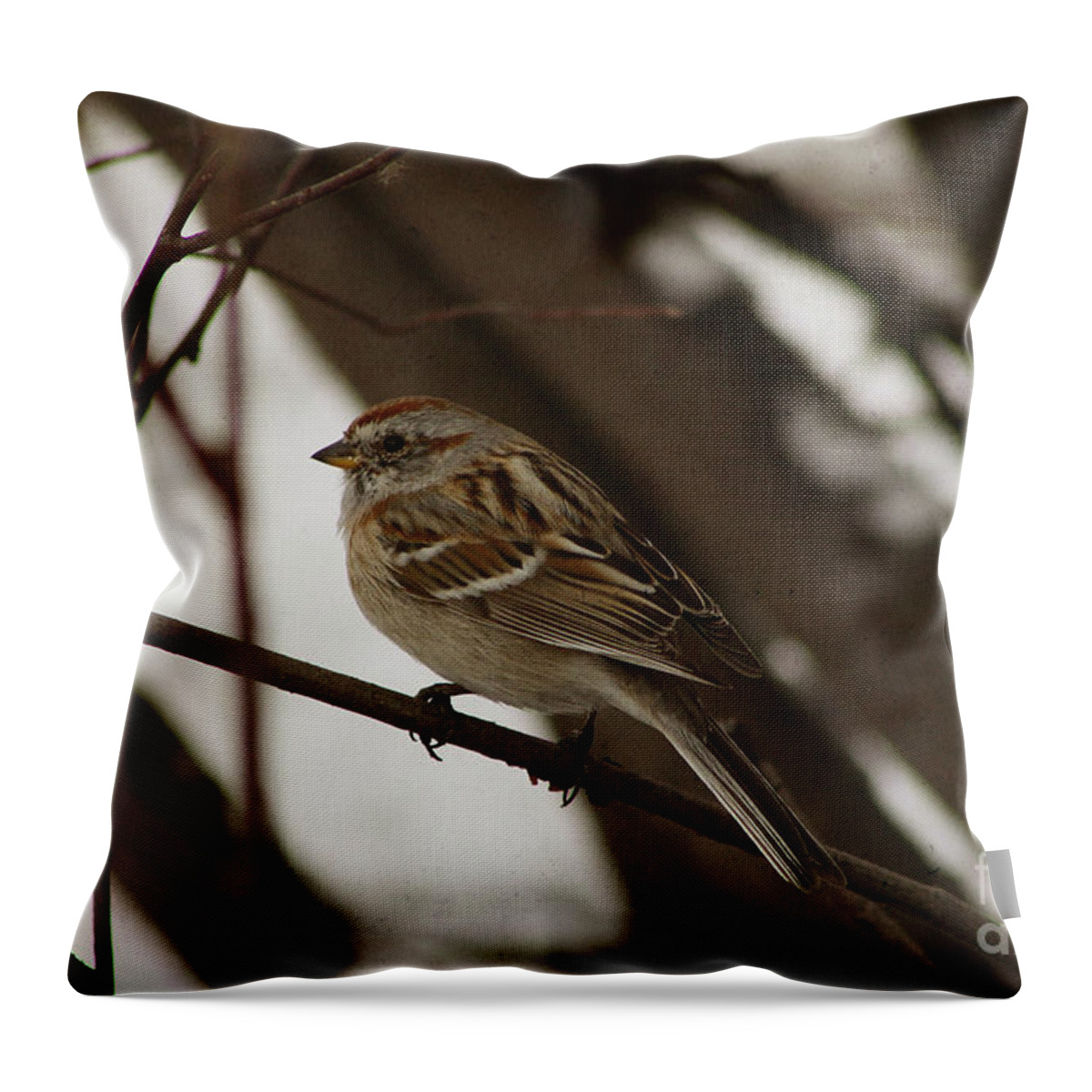 Bird Throw Pillow featuring the photograph American Tree Sparrow by Alyce Taylor